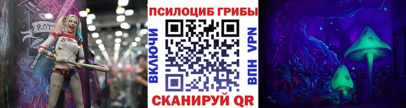 Галлюциногенные грибы Psilocybine cubensis  наркошоп  Чита 
